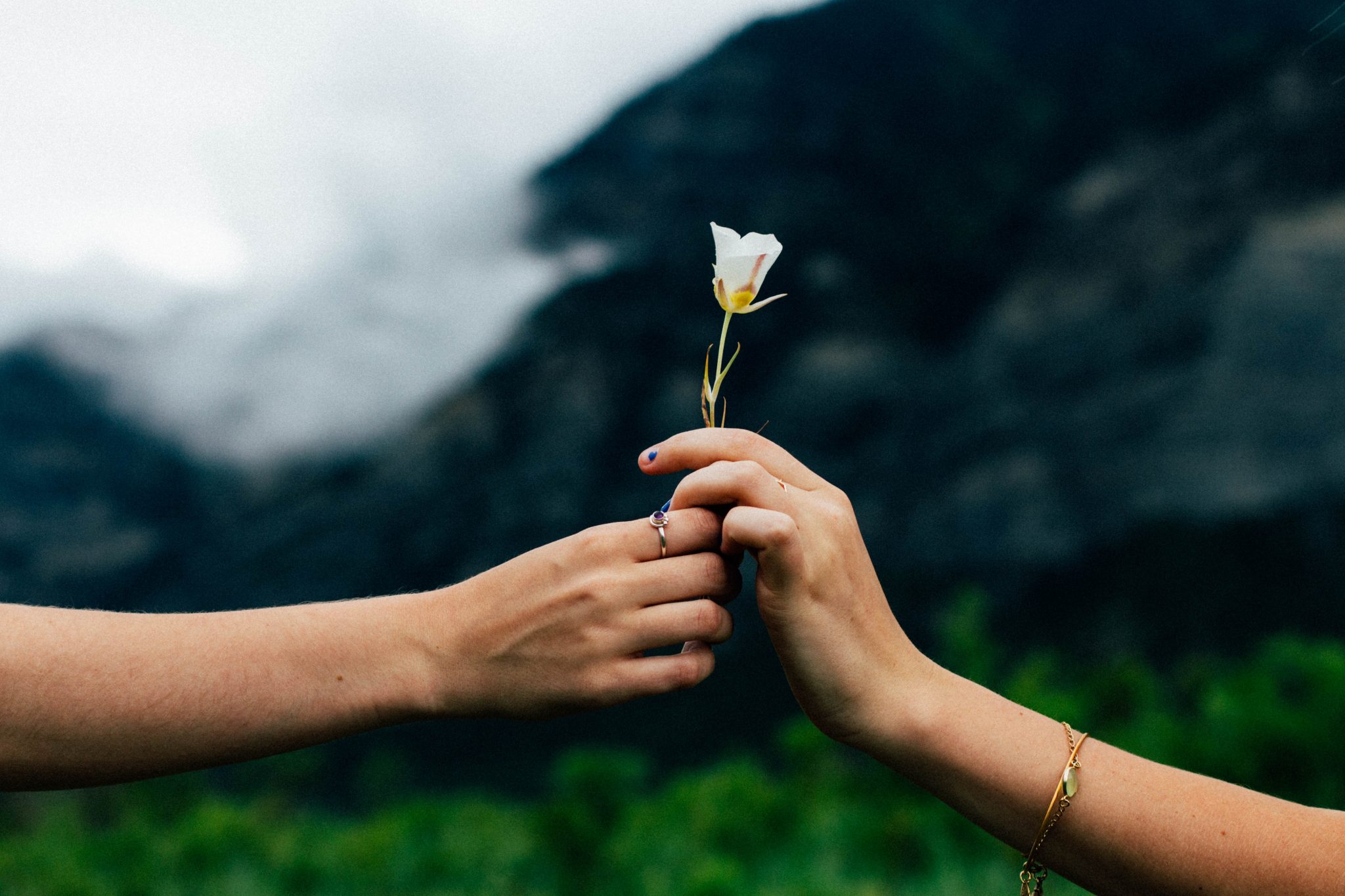 Hands exchanging a flower outdoors
